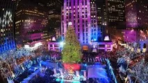 Brad de milioane la New York: În vârful pomului este o stea Swarovski