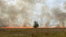 Incendiu de vegetație în stânga Nistrului: Circa șase hectare, afectate