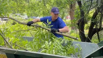 Salubrizarea Gradinei Botanice: Peste 300 de angajați ai IGSU, implicați