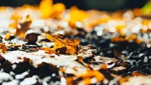 Meteo 15 noiembrie 2022: Timpul se răcește. Maxime de până la +13°C