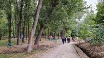 Pădurea-parc Butoiaș ar putea deveni o nouă atracție pentru chișinăueni
