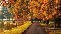 Meteo: Ce temperaturi ne așteaptă în această săptămână