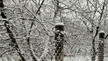Imagini ca din povești: Nordul Moldovei, acoperit de zăpadă