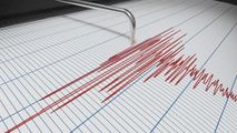 Două cutremure s-au produs în Vrancea. Unul a avut magnitudinea de 3,9