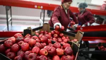 Sluțki cere Rosselhoznadzor să elimine întreg embargoul pentru Moldova