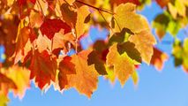 Meteo 9 noiembrie 2022: Cer variabil și minime de -1°C noaptea