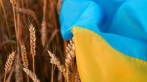 ONU: Primele exporturi de grâu ucrainean, aşteptate săptămâna viitoare