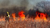 Studiu: Expunerea la incendiile de vegetație crește riscul de cancer