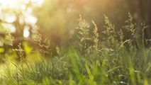 Meteo 21 septembrie 2021: Vremea se răcește simțitor. Maxime prognozate