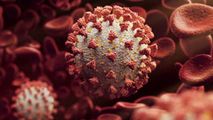 Oamenii de știință au descoperit un virus zombie de zeci de mii de ani
