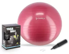 Мяч HMS 4824 Minge gimnastica d=65cm cu pompa Plum YB01 (17-42-162)