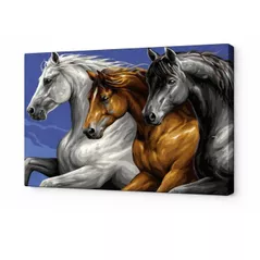 Tablou pe numere Art Gallery CX3618 20x30cm Trei cai