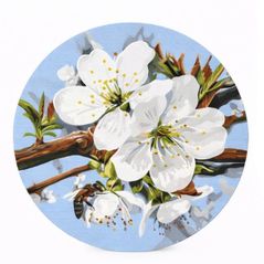 Tablou pe numere BrushMe RC00096L rotunda d40, Floare de măr