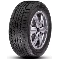 Шина RoadX 175/70 R14 RxFrost WH01 84T