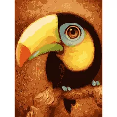 Картина по номерам Richi (03239) Tucanul 40x50