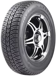 Шина Rosava 175/70 R13 WQ-101 82S