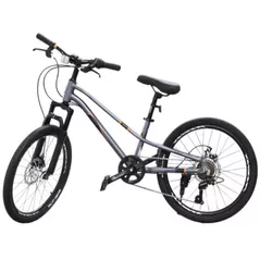 Велосипед New World AVITA PH Bicicleta pentru copii cu 2 roti, 22 inch, gri, 61516