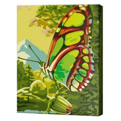 Картина по номерам Art Gallery CX3549 20x30cm Fluture minunat