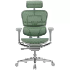 Офисное кресло ART Ergohuman Elite 2 Green T-168-B6 EHE2-AG-HAM-5D-L