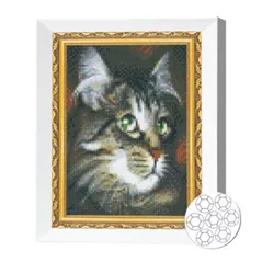 Картина по номерам Art Gallery JS27625 Mozaic cu diamante 20x30cm Motan cu ochi verzi