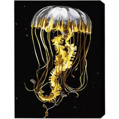 Картина по номерам BrushMe BSB0001FC 40x50сm (pânză neagră/fără cutie) Meduza