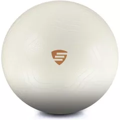 Мяч LivePro LP9005/65/WH Exercise Ball 65cm
