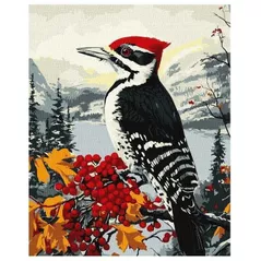 Картина по номерам Ideyka (KHO6777) Woodpecker on a branch, 40х50