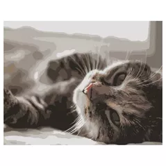 Картина по номерам Strateg R 9 / 2 (DY109)(36214) Pisica оn raze, 40x50 cm