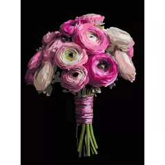 Картина по номерам Strateg 58064 Buchet roz 40x50cm (fundal negru)