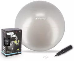 Мяч HMS 4823 Minge gimnastica d=65cm cu pompa Gray YB01 (17-42-161)