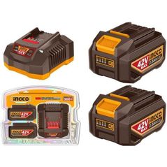 Зарядные устройства и аккумуляторы INGCO FBCPM25221 (51752)