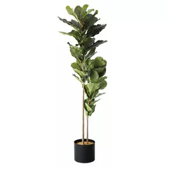 Plantă artificială Deco Arbore Ficus lyrata 200