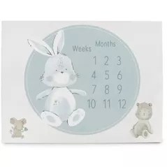 Covoraș de joacă Ceba Baby W-309-000-730 Covoras Milestone Mat Basic Friends, 92x72cm