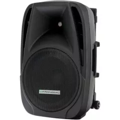 Аудио гига-система Pronomic PH 12AW