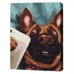 Картина по номерам BrushMe BS53509FC 40х50cm (fără cutie) Selfie Charlie