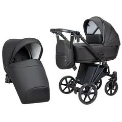 Детская коляска Angelina Carucior 2in1 Enigma Black E-2