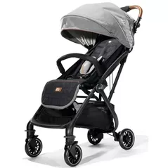 Сărucior pentru copii Kikka Boo 31001020124 2 in 1 Amani Grey