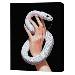 Картина по номерам BrushMe BSB0049FC 40x50 (pânză neagră/fără cutie) Grația șarpelui