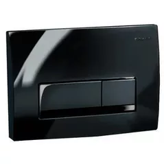 Кнопка смыва Geberit Delta50 Черный 115.119.DW.1