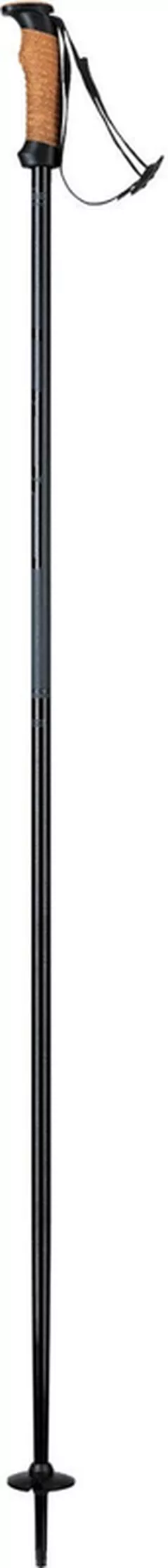 Лыжные палки Elan SPEED ROD Grey 130 (CD531524 130)