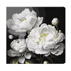 Tablou pe numere Ideyka KHO3237 40x40cm Eco, Frumusetea ireprosabila cu vopsele metalic