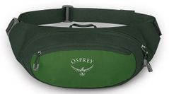 Поясная сумка Osprey Daylite Waist green belt/green canopy hip (843820184372)