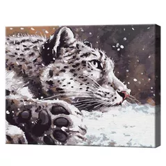 Tablou pe numere Art Gallery GX39981 40x50cm Eco, Leopardul zapezilor si ninsoare
