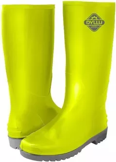Спецобувь Dyllu DTRB1L45 (51568)
