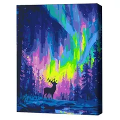 Картина по номерам BrushMe BS54493FC 40x50cm (fără cutie) Aurora polară