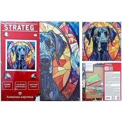 Картина по номерам Strateg 57338 Pictura cu diamant 30x30cm Privire neagra