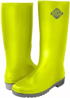 Спецобувь Dyllu DTRB1L41 (51565)