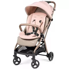 Детская коляска Peg Perego IP22000000RO53 Selfie Mon Amour
