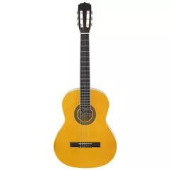 Chitară Fiesta Aria 4/4 FST-200 Natural + husa