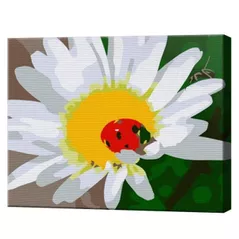 Картина по номерам Art Gallery CX4220 20x30cm Buburuza pe romanita